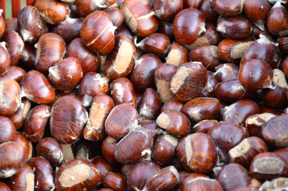 Chestnuts