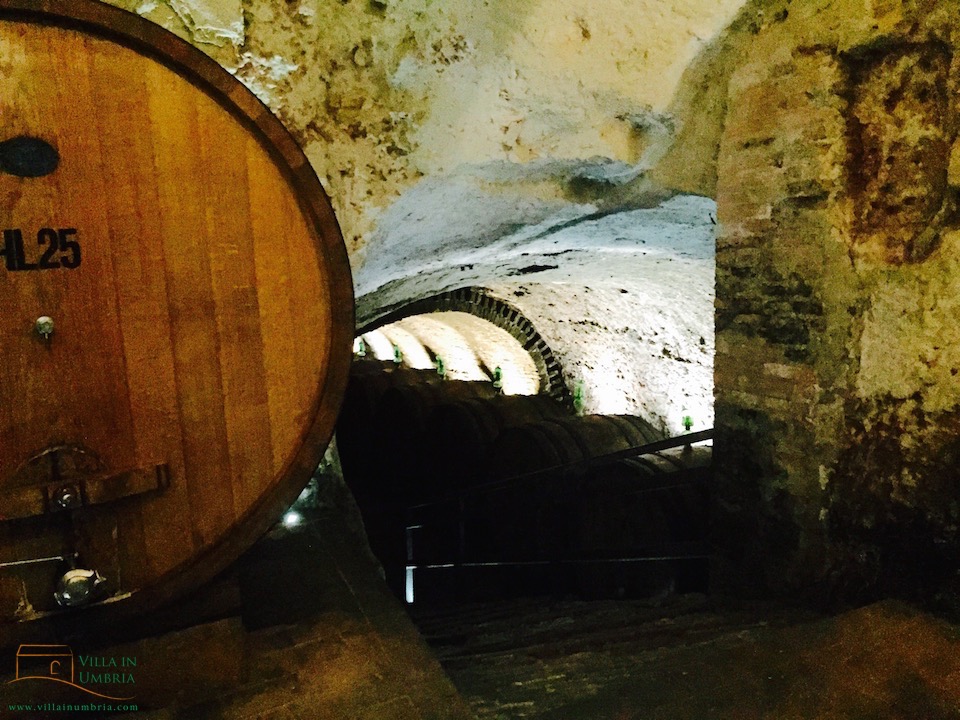 WinetastingMontepulcianoGattavecchi3