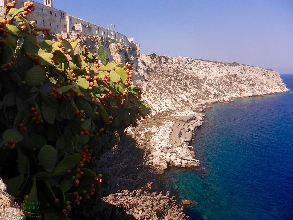 gargano-puglia-ficodindia