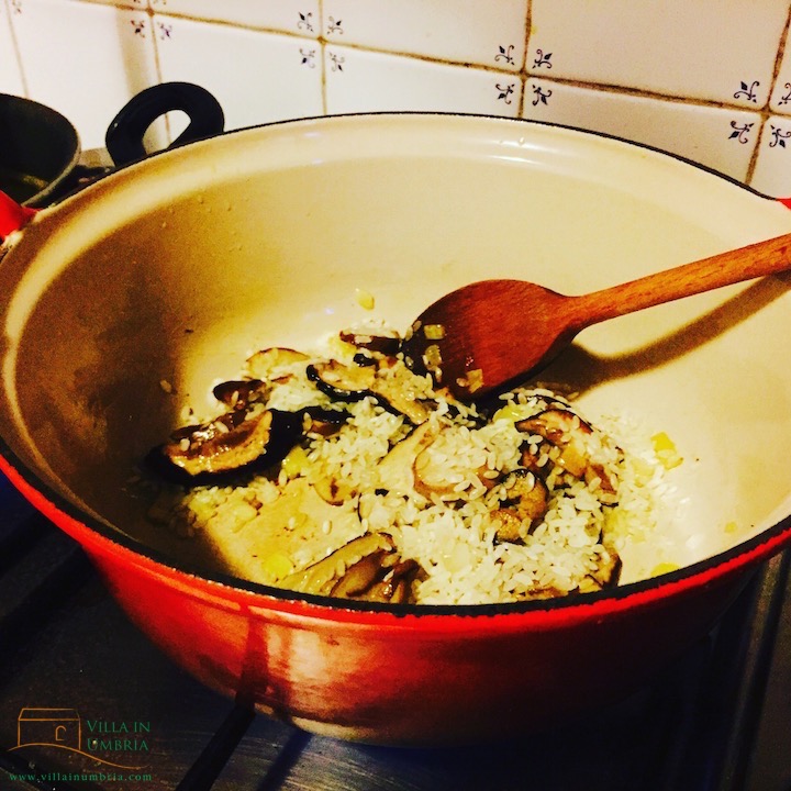 funghiporcini_umbria4