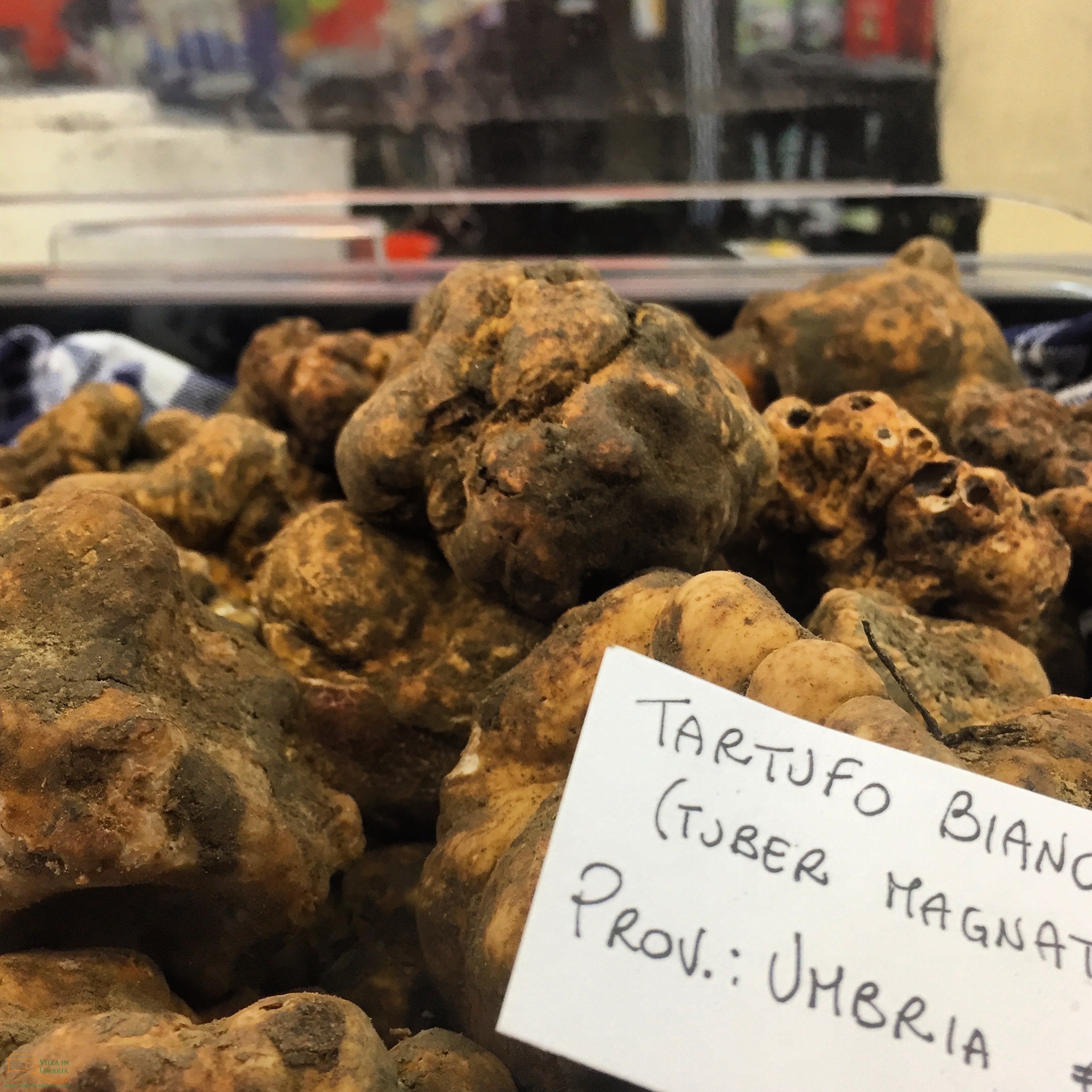 truffel markt Umbrië