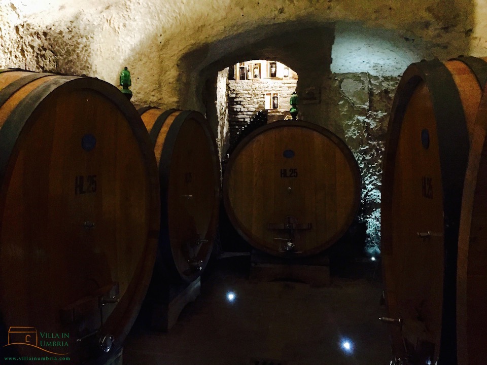 Winetasting Montepulciano Gattavecchi Winetasting Montepulciano Gattavecchi