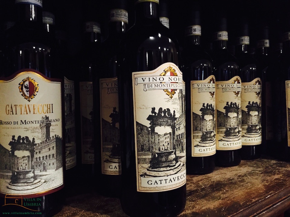 Winetasting Montepulciano Gattavecchi Winetasting Montepulciano Gattavecchi
