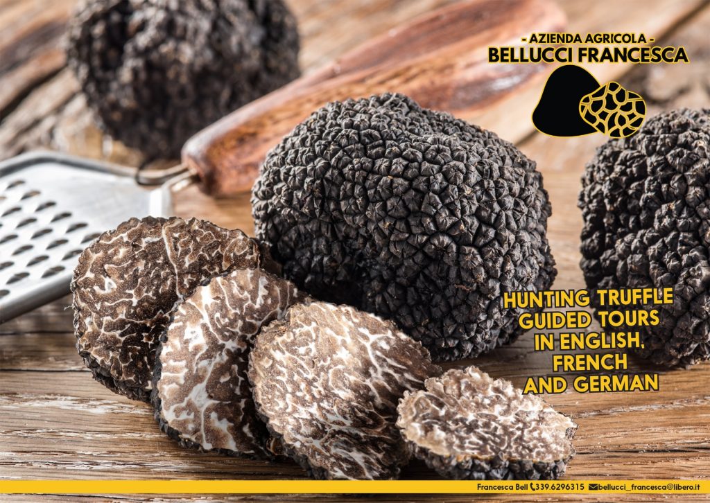 Azienda Agraria Bellucci Francesca