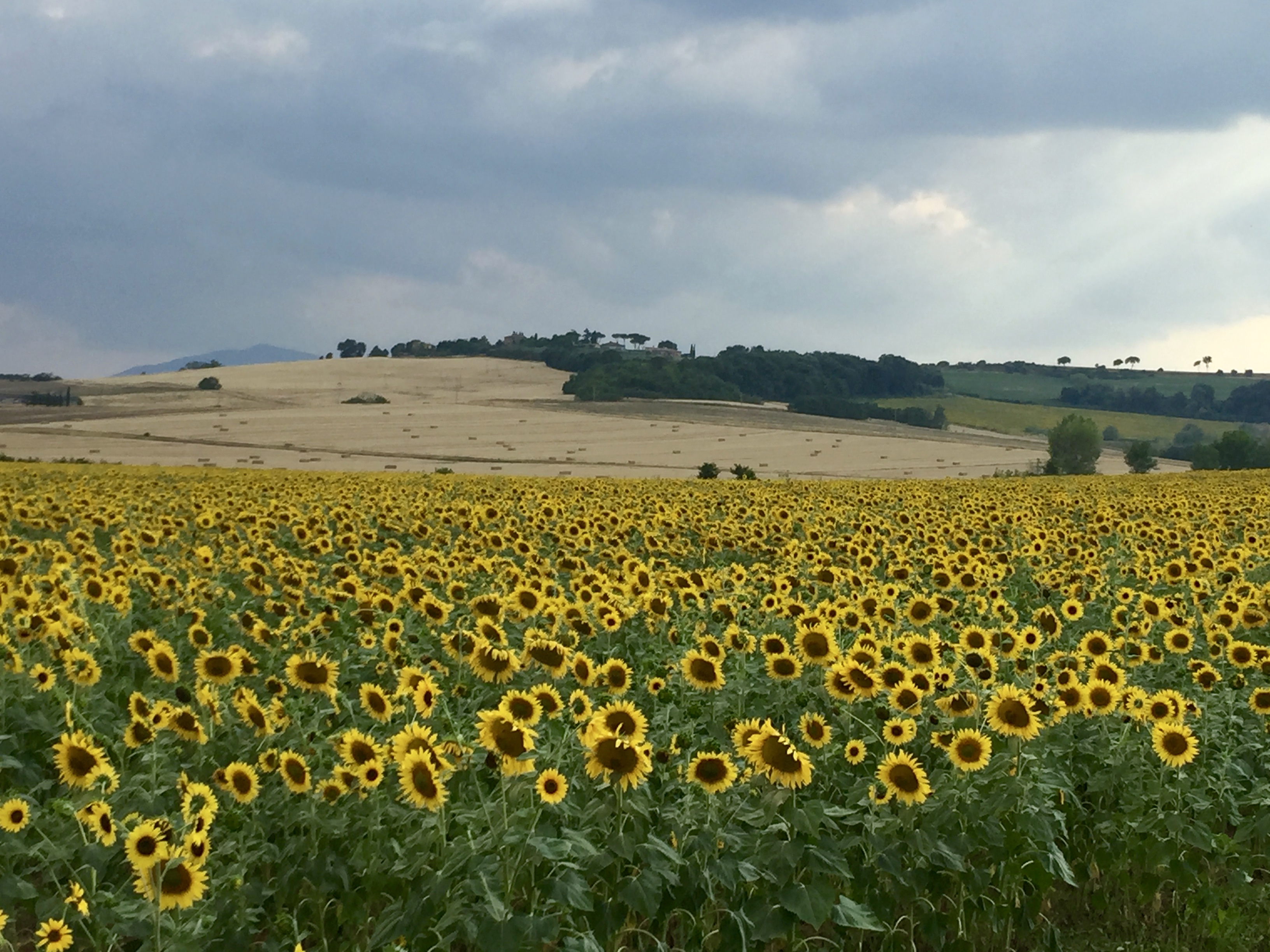 Boerderij in Cortona