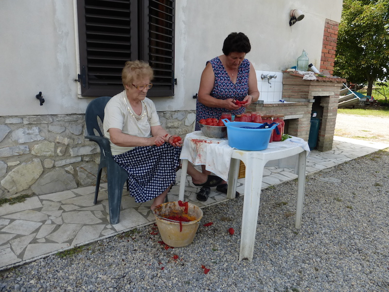 Cortona