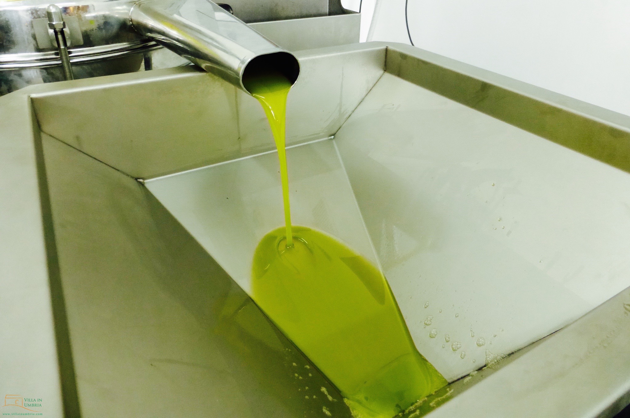 Olijfolie van Loreti in Gualdo Tadino Umbrie