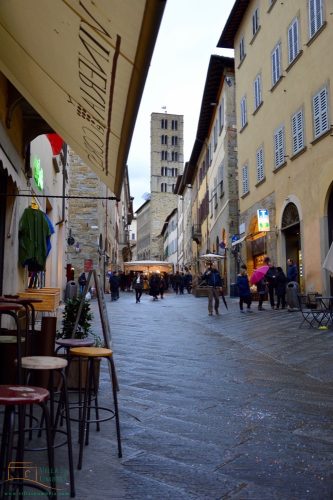 arezzo3