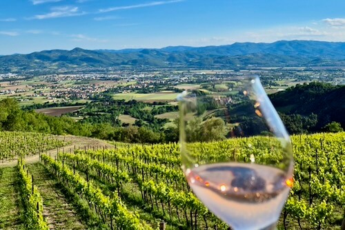 Wijnproeven met Umbria Farm Experience Wijnproeven met Umbria Farm Experience