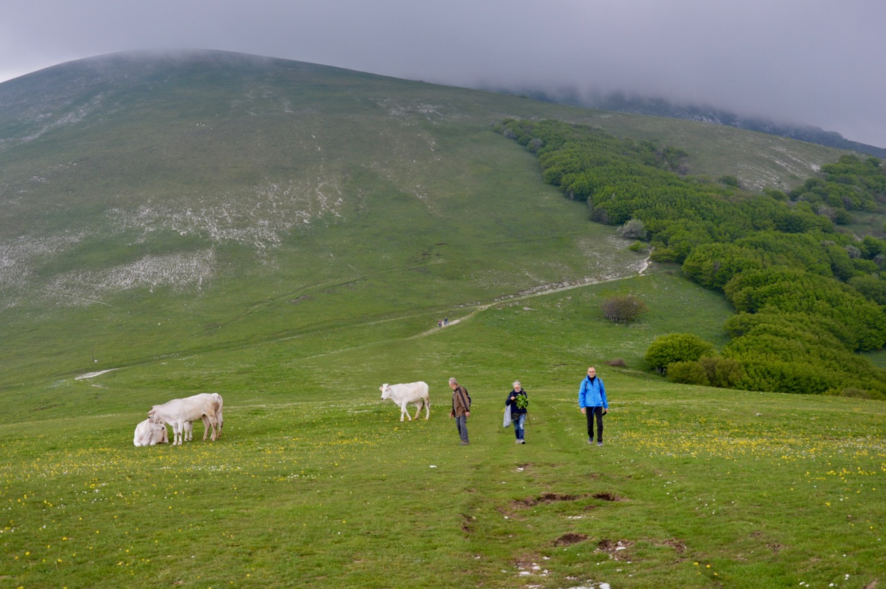 The best activities in Umbria: visit Monte Cucco The best activities in Umbria: visit Monte Cucco
